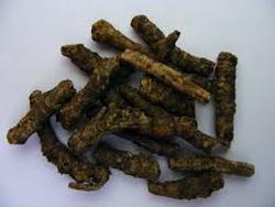 Picrorhiza Kurroa Extract