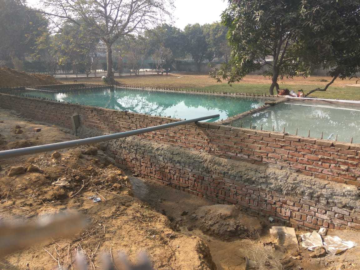Multicolor Swimming Pool