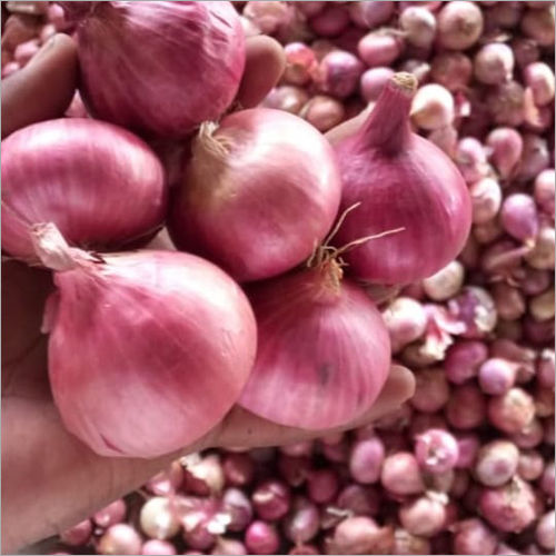 Natural Onion