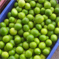 जैविक प्राकृतिक हरा नींबू