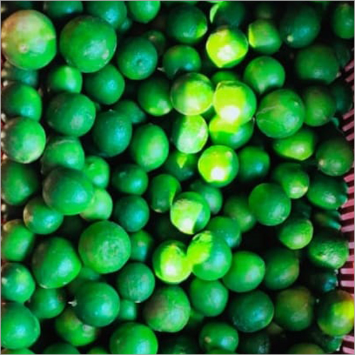 Green Lemon - 6.5 Kg Whole Fresh Lemons, Organic Natural Green Variety