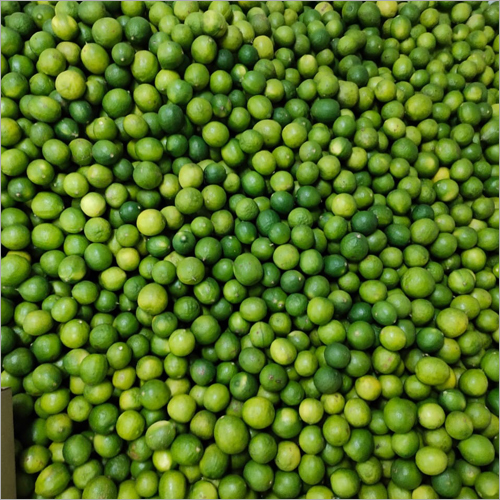 Green Lemon - 6.5 Kg Whole Fresh Lemons, Organic Natural Green Variety