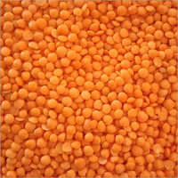 Masoor Dal