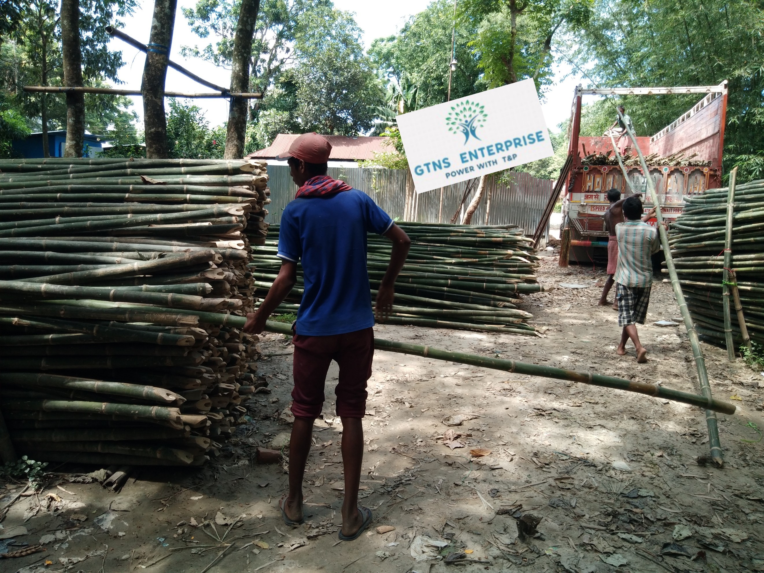 24 Feet Bamboo Pole