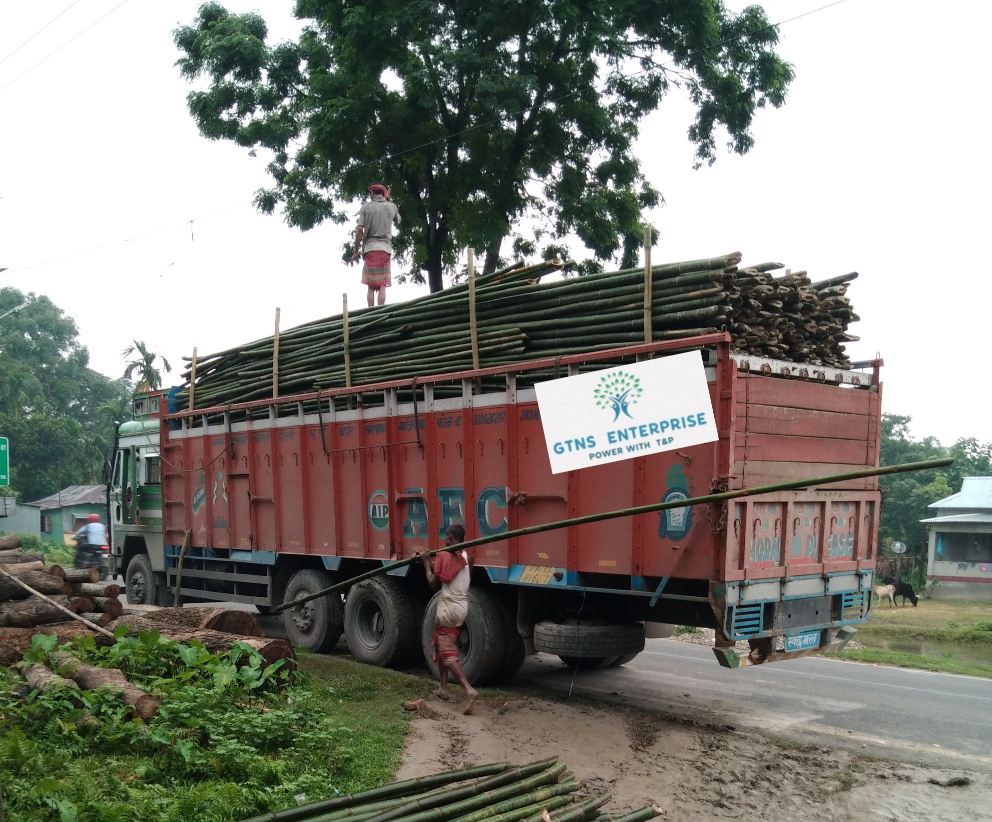 24 Feet Bamboo Pole
