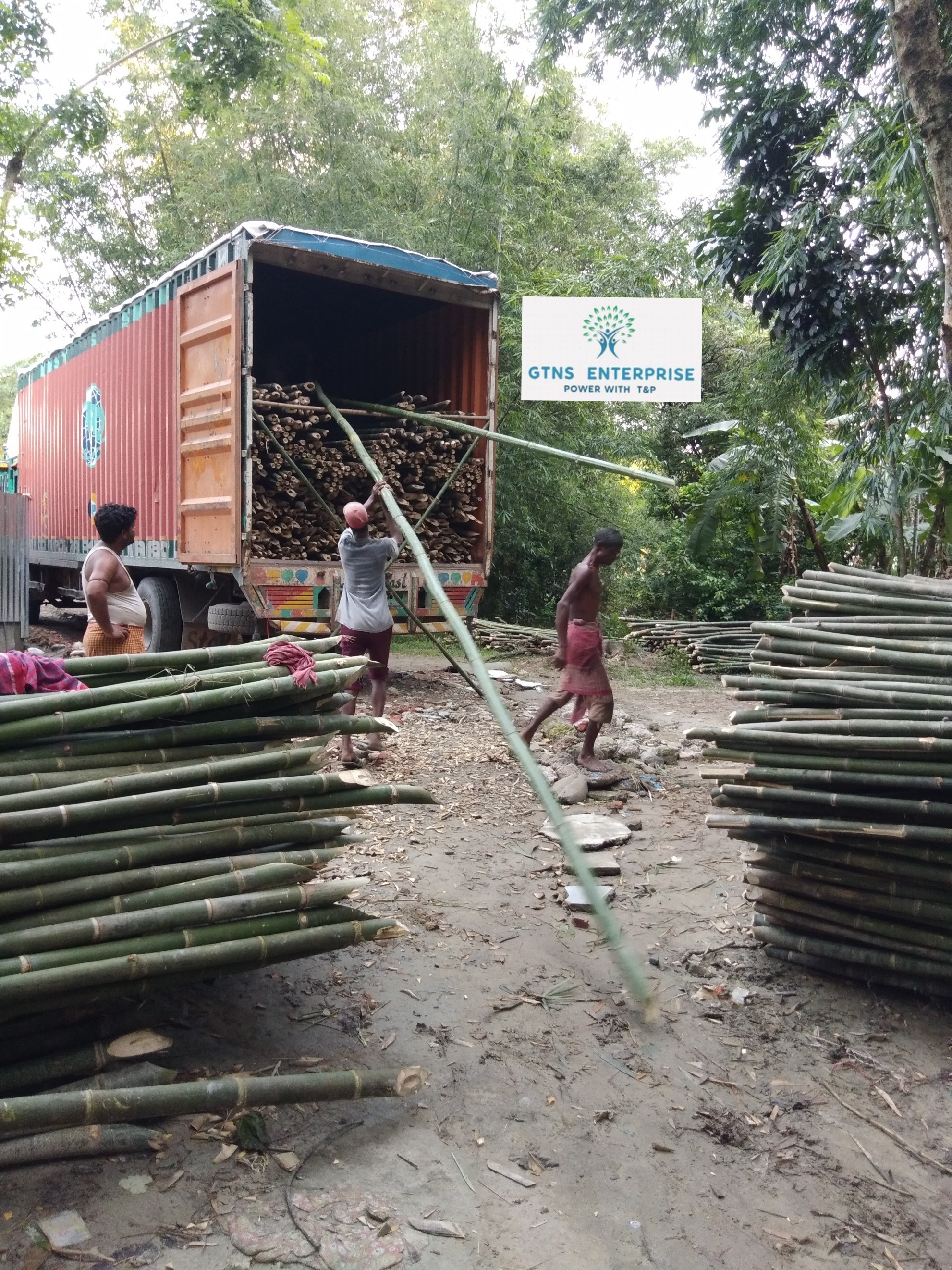 24 Feet Bamboo Pole