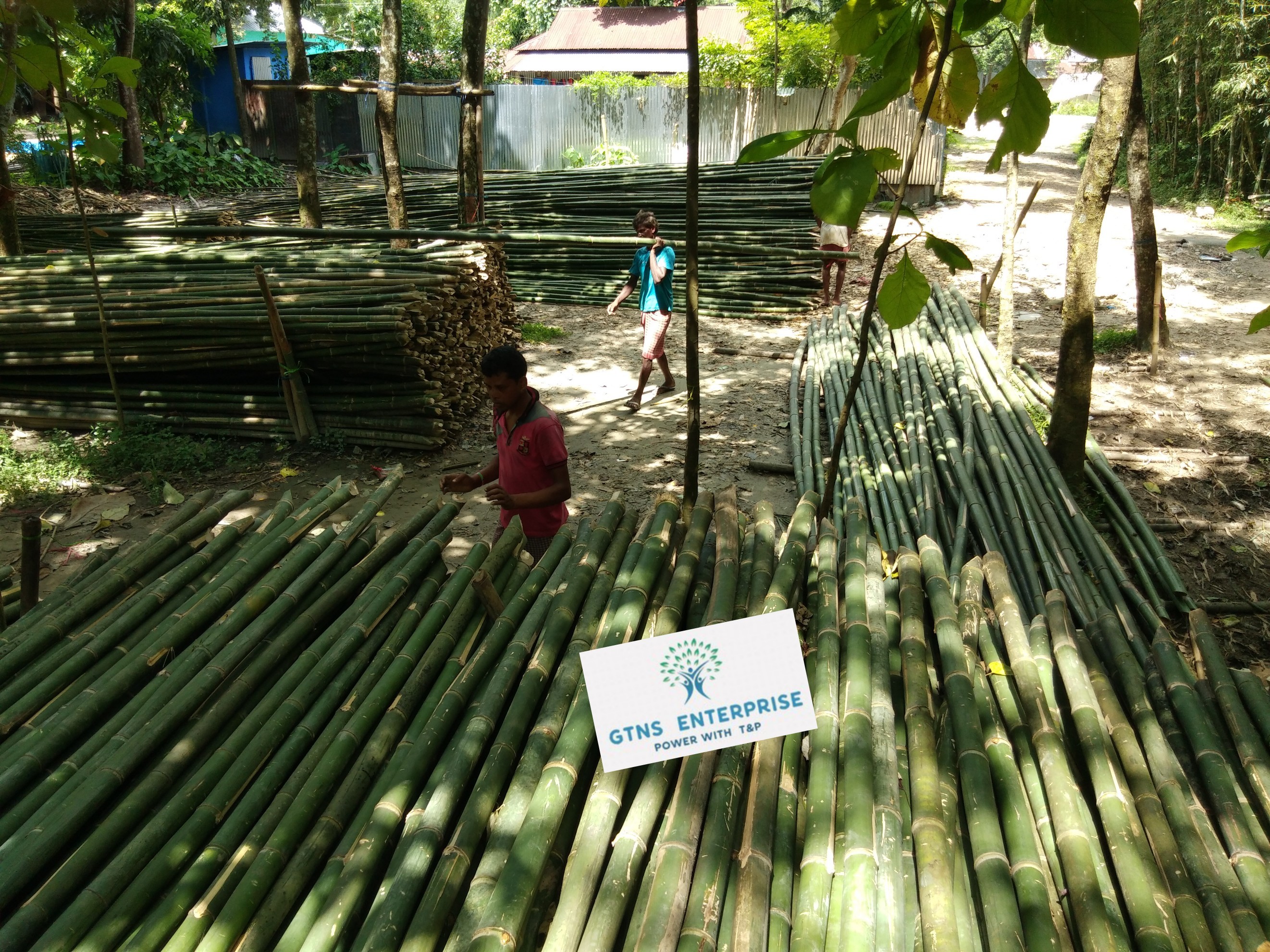 24 Feet Bamboo Pole