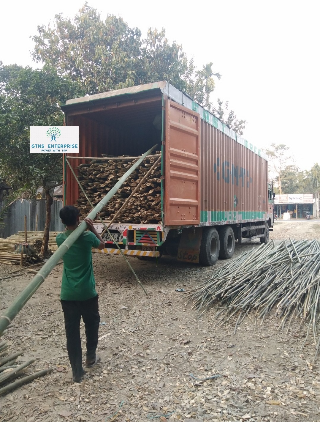 24 Feet Bamboo Pole