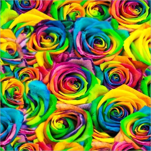 Colorful Digital Printed Fabric