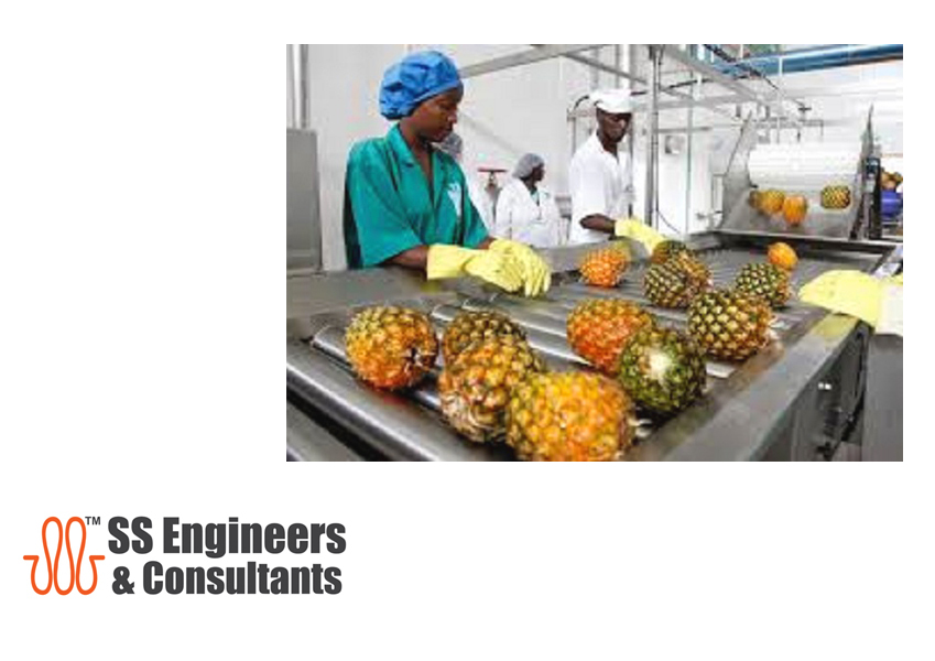 Semi-automatic Vegetable Washer