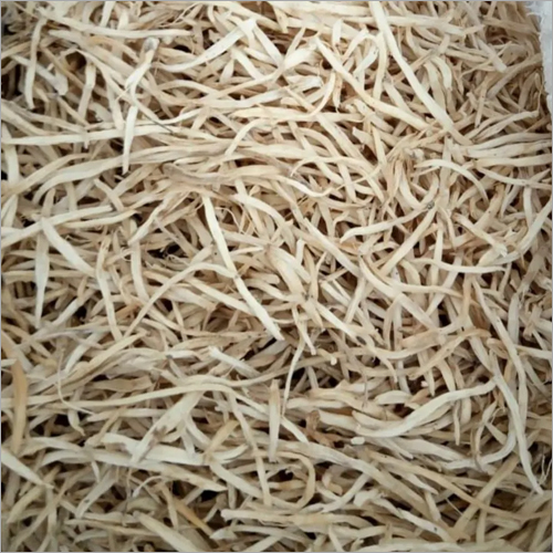White Shatavari