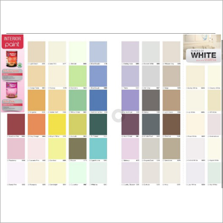 Color Palatte