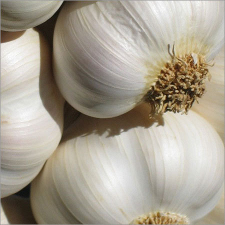 लहसुन