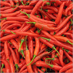 लाल गर्म मिर्च
