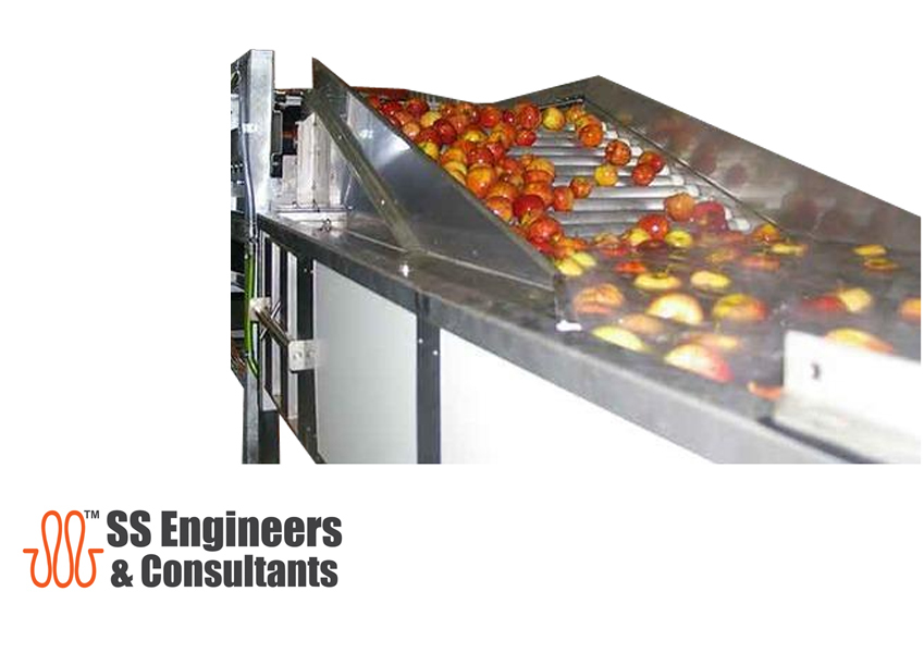 Tomato Processing Line - Stainless Steel Construction | Semi-automatic Control System, High-quality Food Processing Machinery