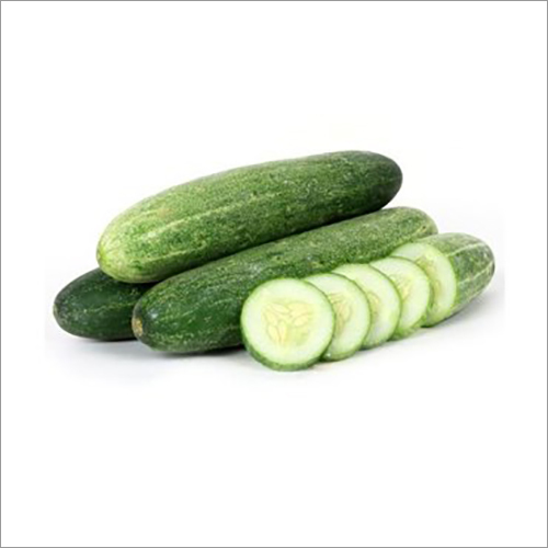 ताजा खीरा