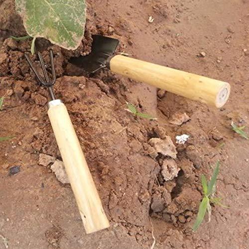 Multicolor Garden Tool