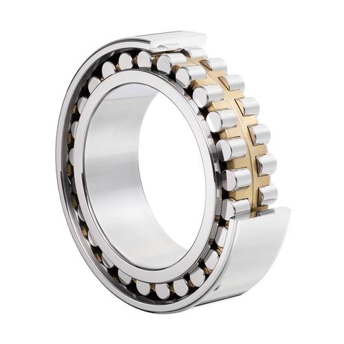 Double Row Cylindrical Roller Bearing - Steel, 100mm Outer Diameter x 60mm Inner Diameter x 20mm Width, 2 Rows with Brass Cage