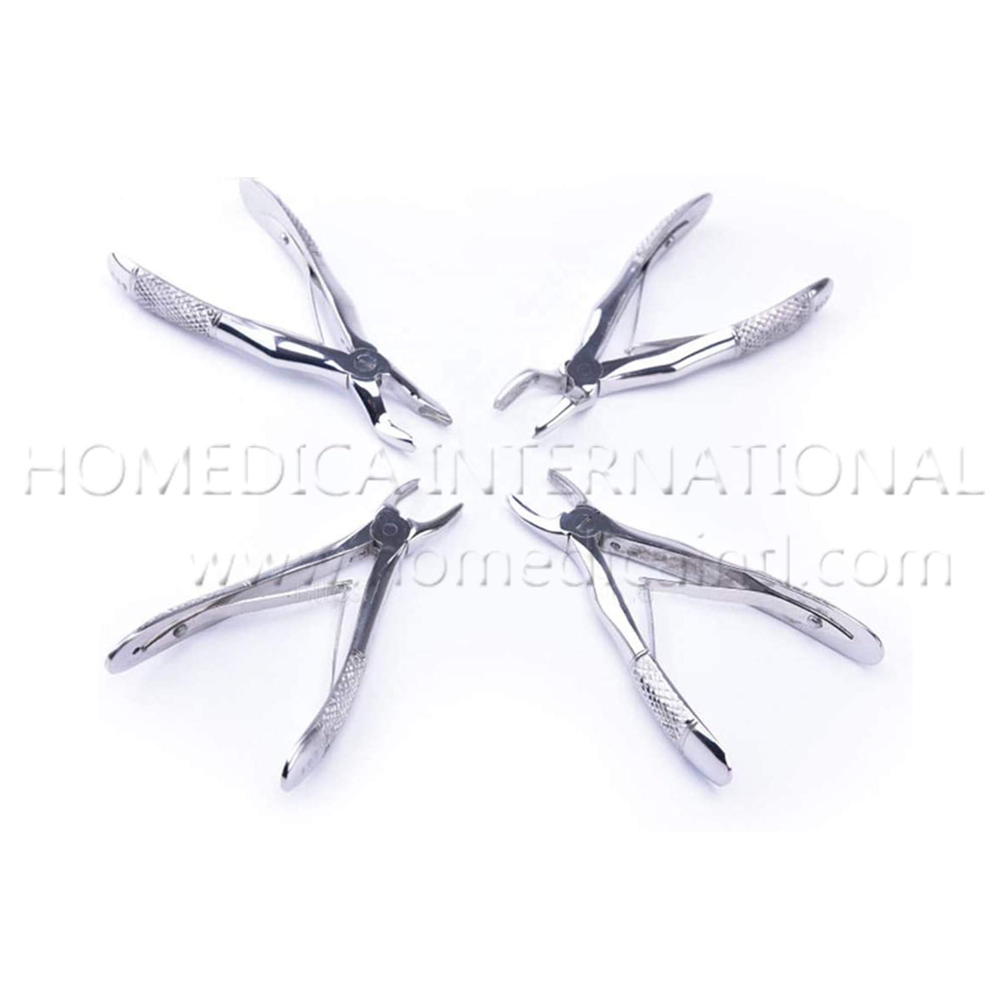Silver Instrument Dental Extraction Forceps Kit