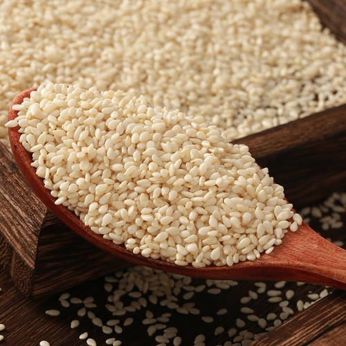 BTL Solid Natural Sesame Seeds - White Hulled, 10% Moisture, 48% Oil Content | SGS Certified, Pure Quality, Bulk Packaging Options