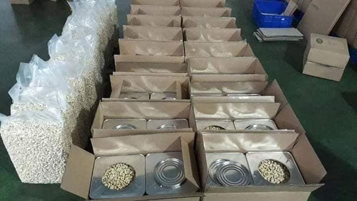 Cashew Nuts Kernels W320