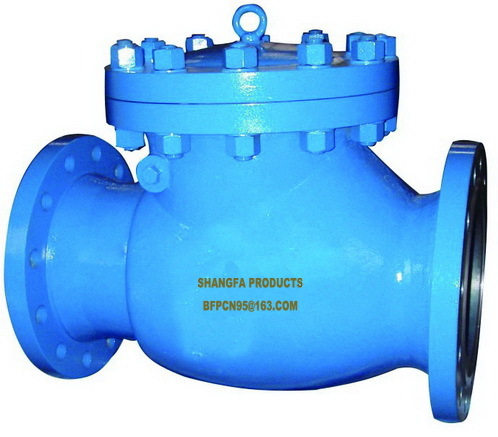 Swing Rubber Flap Check Valve