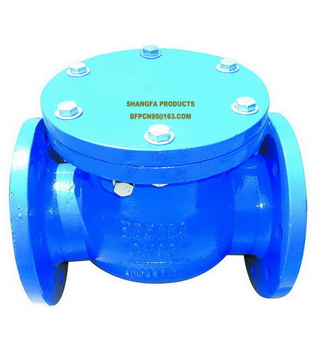 Swing Rubber Flap Check Valve