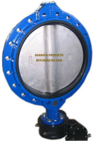Manual Flanged Butterfly Valve Application: Water