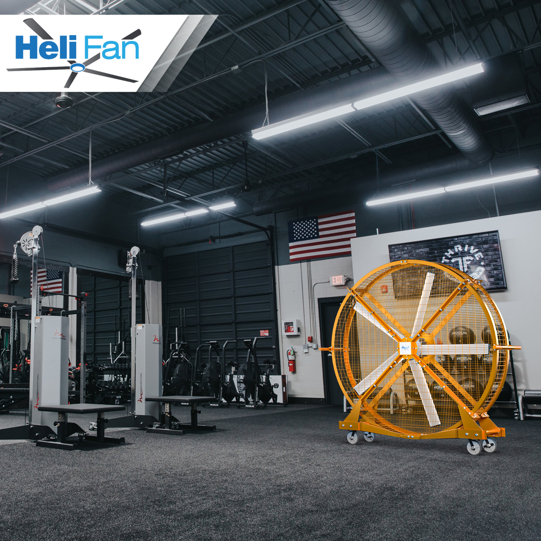 Gearless Hvls Fans Blade Diameter: 24 Foot (Ft)
