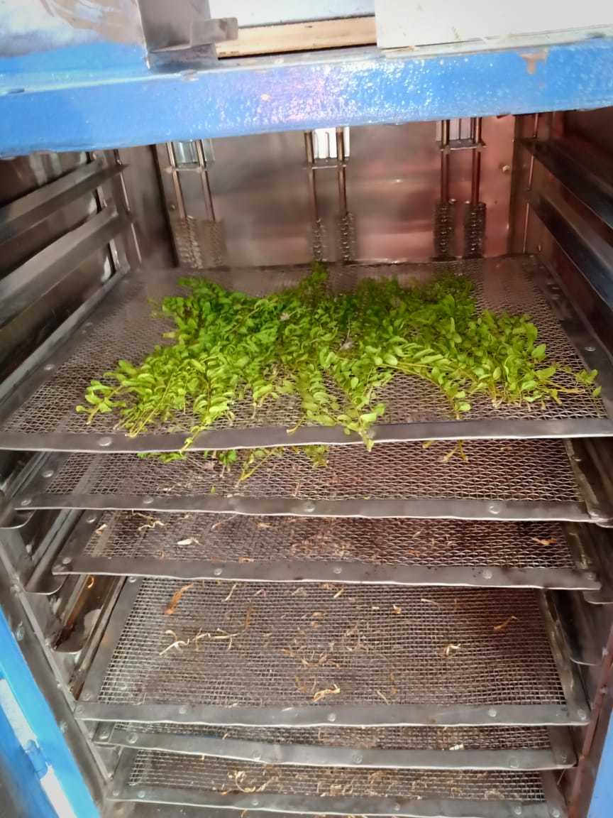 Fruits And Vegetable Dehydrator - Stainless Steel, 1000x700x1500mm | 2.5kw Power Consumption, 5 Trays Of 600x400mm, 40-80°c Temperature Range