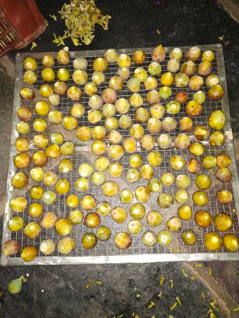 Fruits And Vegetable Dehydrator - Stainless Steel, 1000x700x1500mm | 2.5kw Power Consumption, 5 Trays Of 600x400mm, 40-80°c Temperature Range
