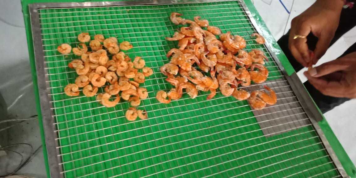 Shrimps Dryer Machine - Stainless Steel Tray Material, Customizable Dimensions, Green Color | Customizable Design, Energy Efficient, Seafood Drying, Tray Drying, Electric Heating Method, Temperature Range 50-80â°c