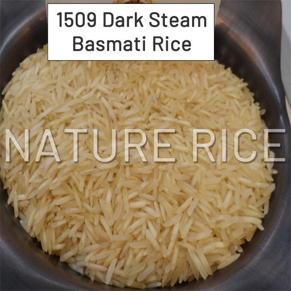 1509 Steam Basmati Rice - 95% Purity, Moisture 12% Max, Grain Length 8.35-8.4mm, Broken 1-2% Max, Multiple Packing Options Available, Excellent Aroma And Taste