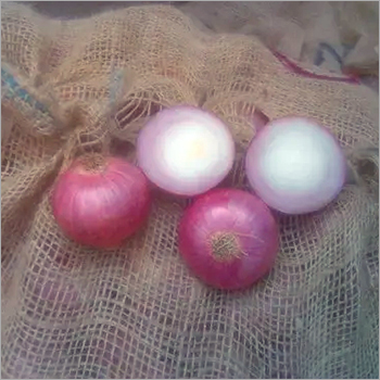 Fresh Onion - Organic | Natural Shape, Ideal For Culinary Uses, Export Quality, Sourced From India, Suitable For Worldwide Markets