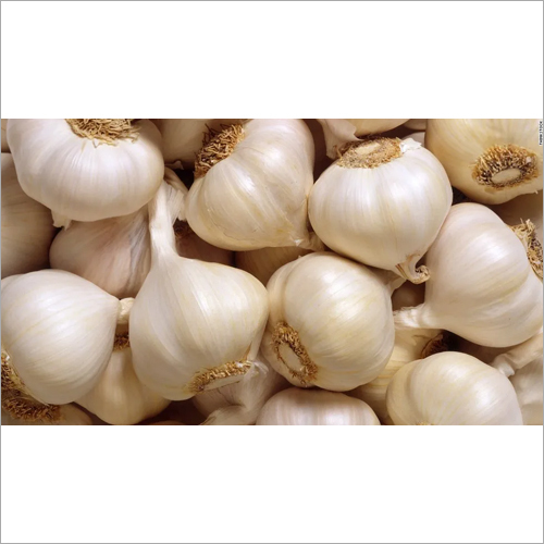 Fresh Garlic - Organic, Natural Shape | Culinary Essential For Diverse Worldwide Uses