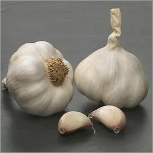 Fresh Garlic - Organic, Natural Shape | Culinary Essential For Diverse Worldwide Uses