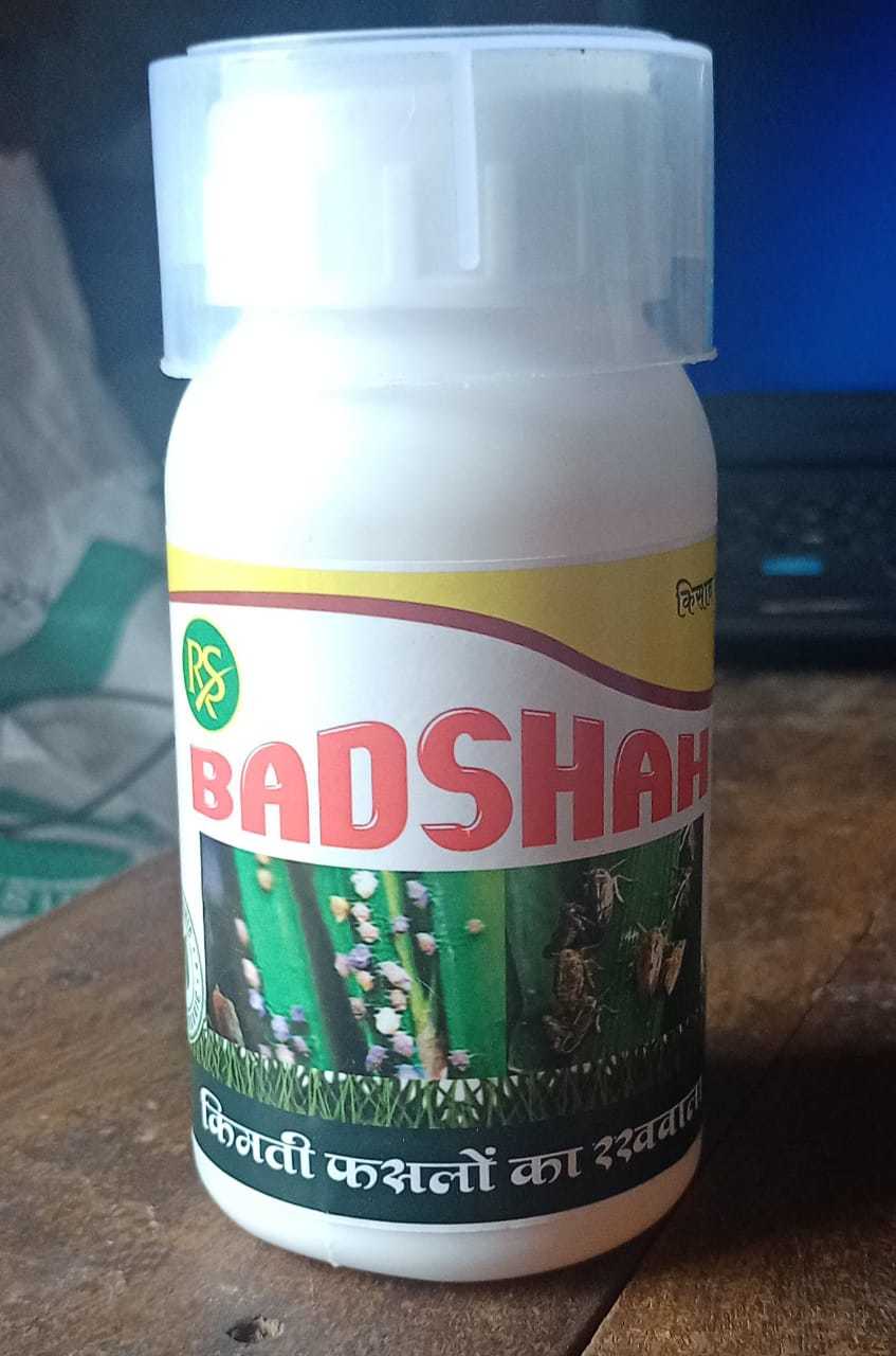 Badshah (Bph)