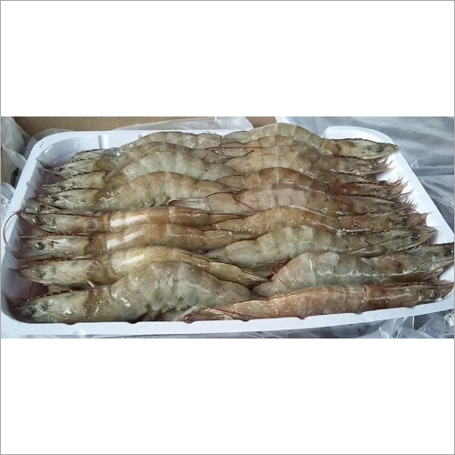 Vannamei Shrimp Fish