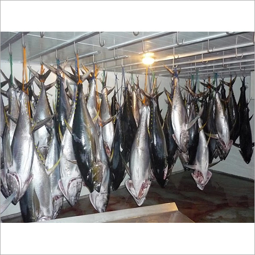 Fresh Yellowfin Tuna Fish