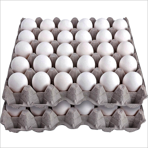 General Standard Table Egg