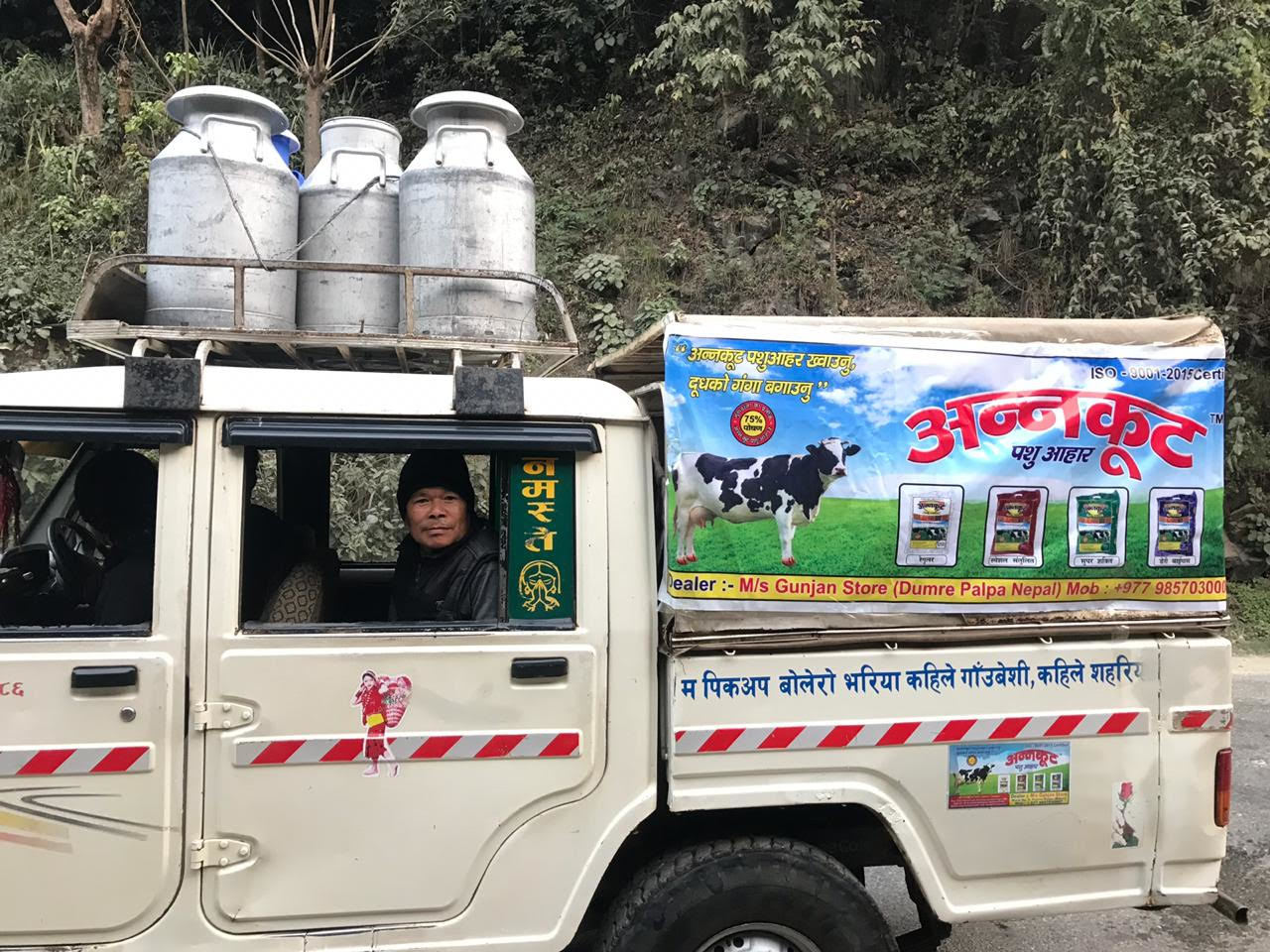 Cattle Feed Efficacy: Promote Healthy
