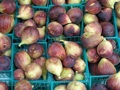 ताजा अंजीर फल - अथिपाज़म - ताज़ा गुणवत्ता वाला अंजीर