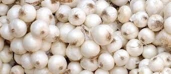 Silverskin Onion