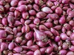 Shallots Onion - Organic Fresh Shallots, Nutrient-Dense Rich in Antioxidants and Vitamins - Supports Heart Health and Boosts Bone Density