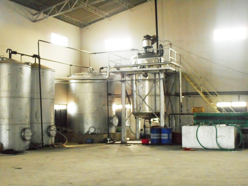 Automatic Virgin Coconut Oil Plant