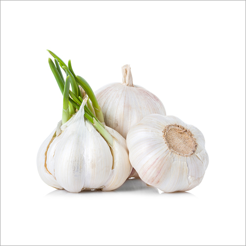 Natural White Garlic