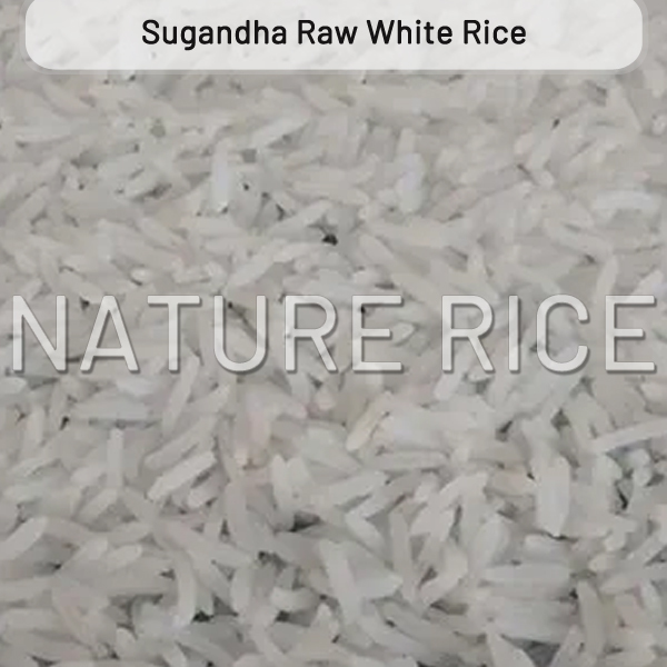 Sugandha White Raw Rice