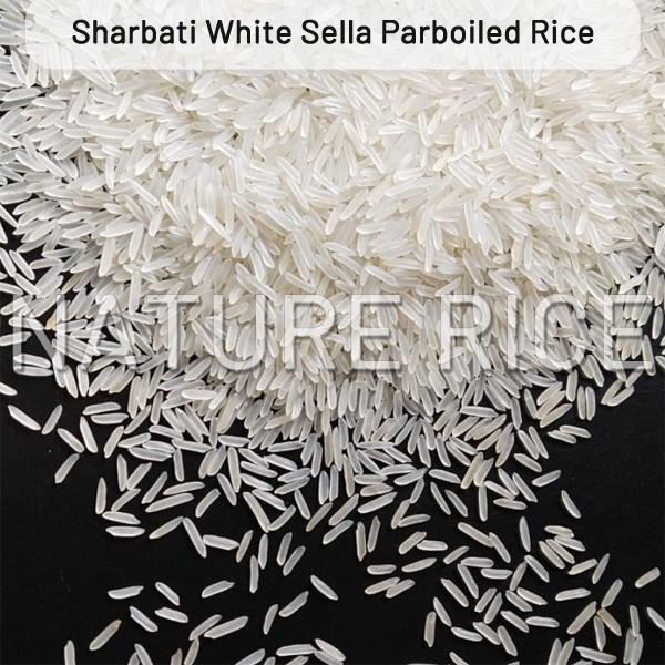Sharbati Creamy Sella Rice