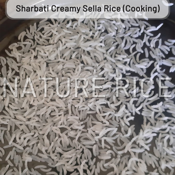 Sharbati Creamy Sella Rice