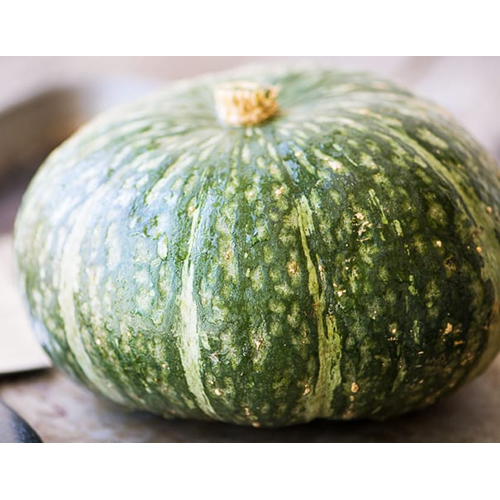 विंटर स्क्वैश